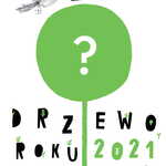 Ilustracja do artykułu Drzewo-Roku-2021_CMYK-1.jpg