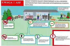 Ilustracja do artykułu asf miniatura.jpg