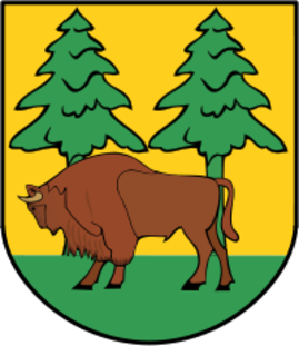 logo powiatu hajnowskiego.png